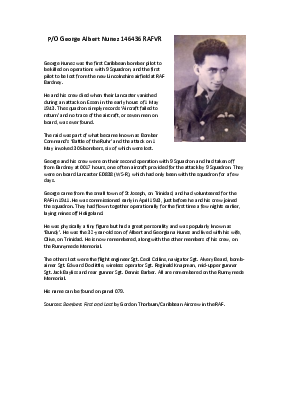 A preview of a PDF biography for Nunez, George Albert